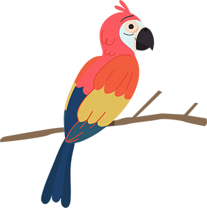 birds