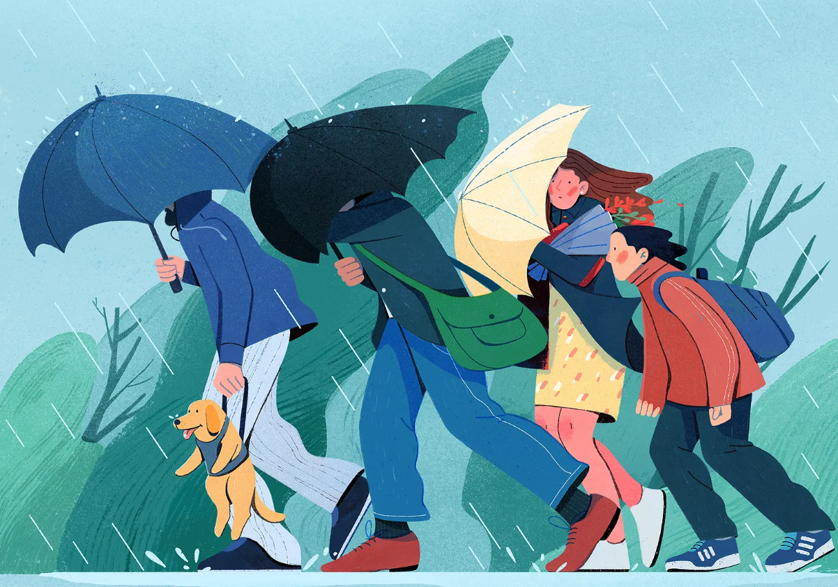 Rainy Day